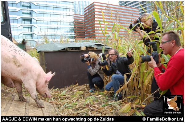 https://bfknt.nl/aagje-en-edwin-samen-citytrip.jpg