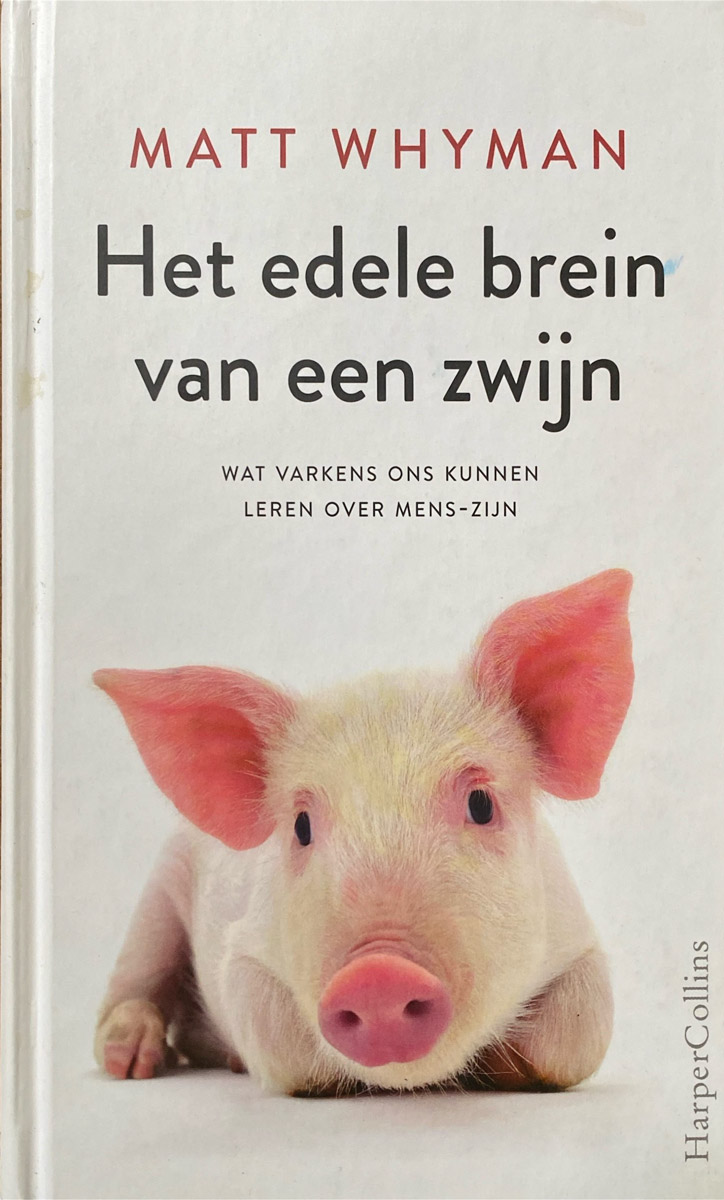 https://bfknt.nl/boek-het-edele-brein-van-een-zwijn.jpg