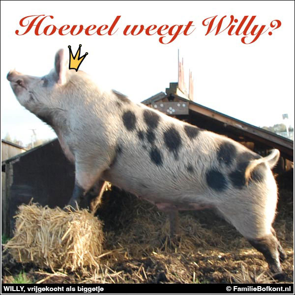 https://bfknt.nl/borg-willy.jpg