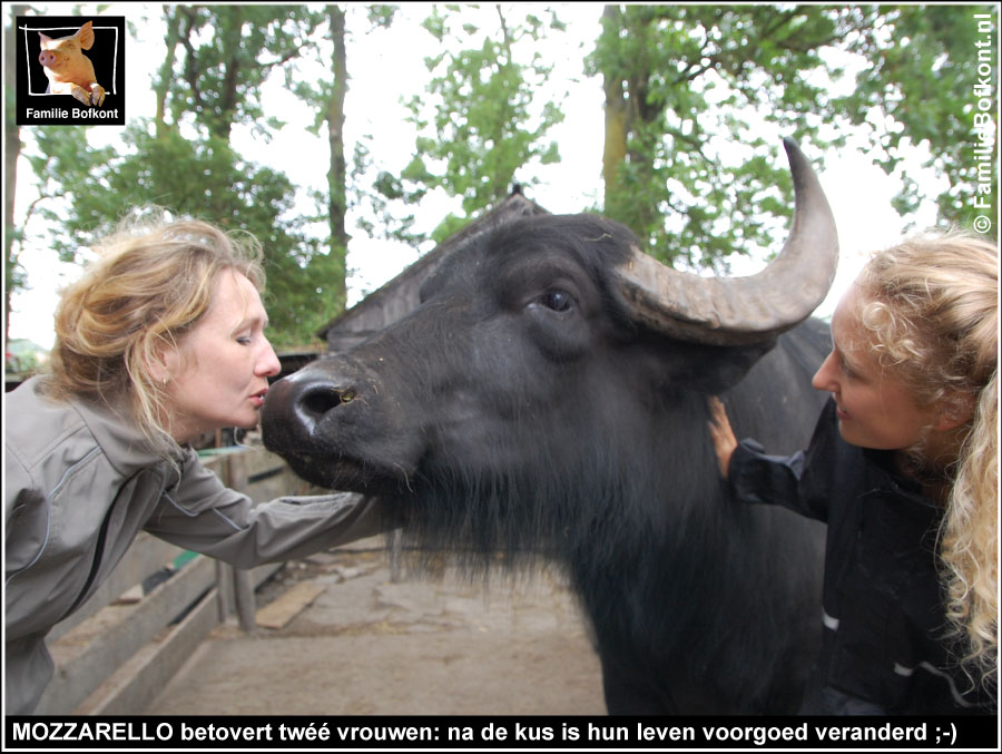 https://bfknt.nl/buffel-mozzarello-betovert-twee-vrouwen-familie-bofkont-workshop.jpg