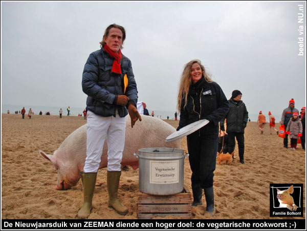 https://bfknt.nl/de-nieuwjaarsduik-van-varken-zeeman-diende-een-hoger-doel.jpg