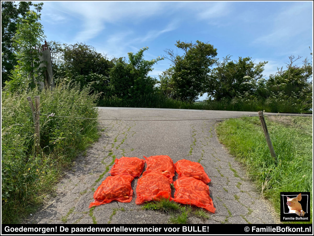 https://bfknt.nl/de-paardenwortels-zijn-gearriveerd-familie-bofkont.jpg