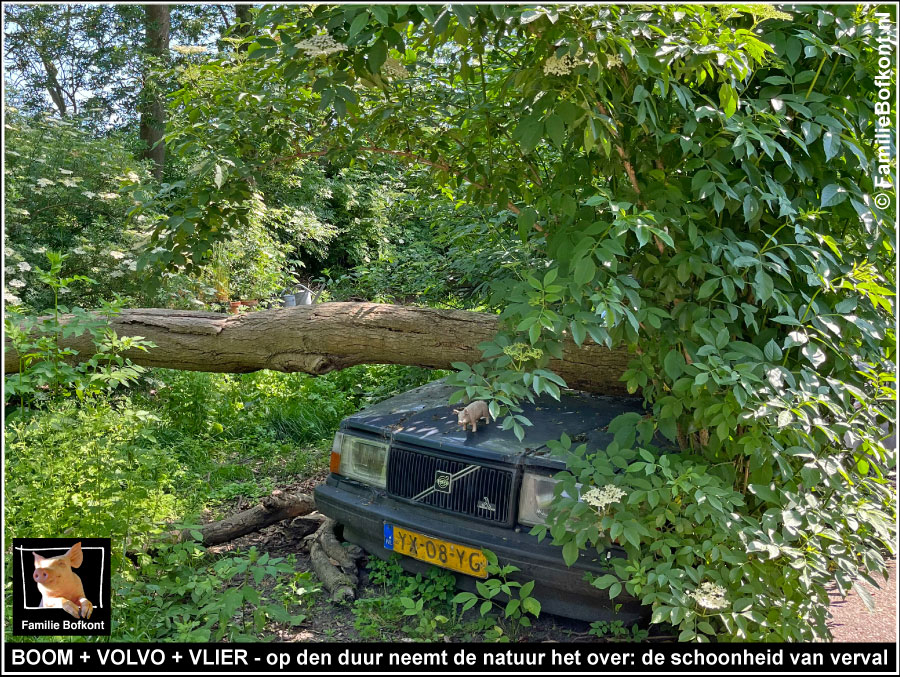 https://bfknt.nl/de-schoonheid-van-verval.jpg