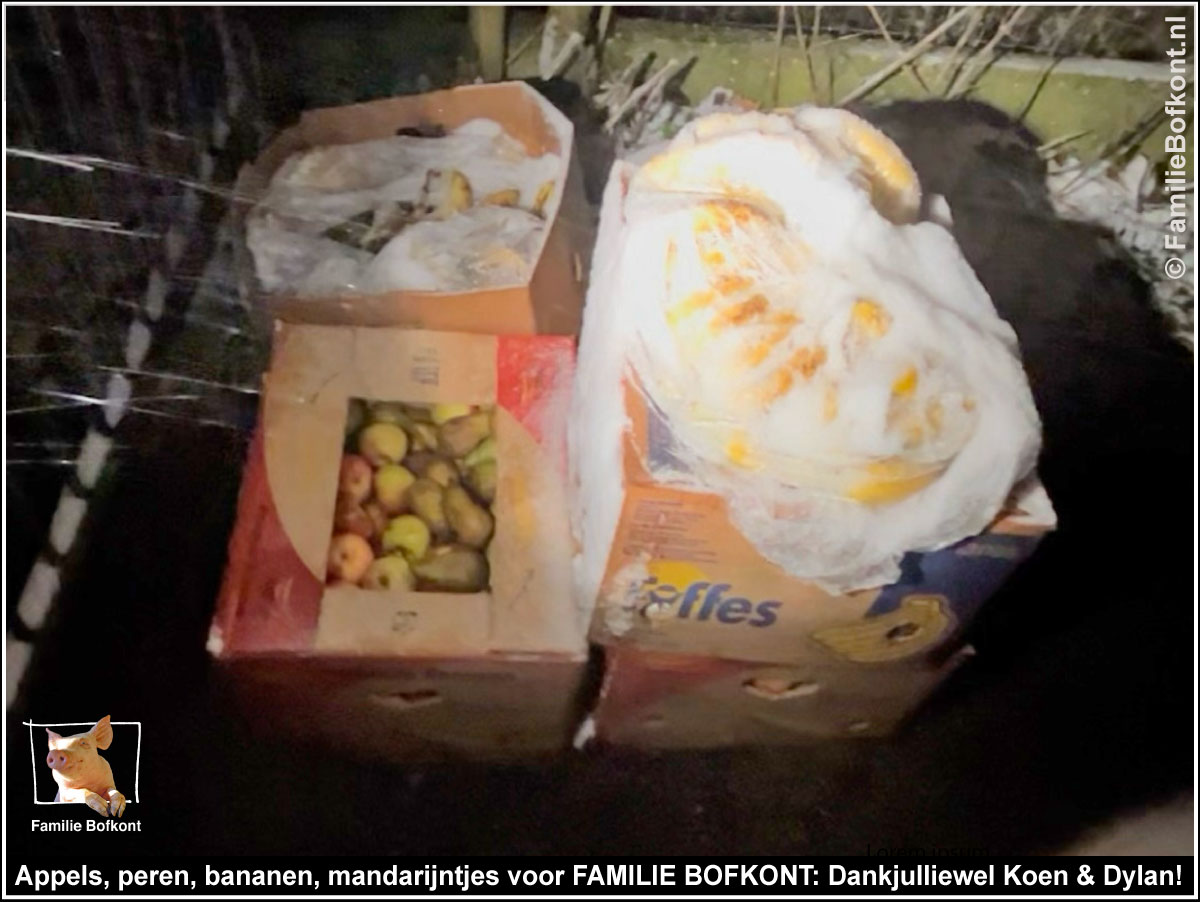  https://bfknt.nl/dozen-vol-appels-peren-bananen-mandarijntjes-voor-familie-bofkont.jpg