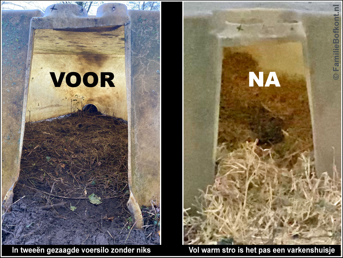 https://bfknt.nl/een-halve-voersilo-is-pas-een-varkenshuisje-met-warm-stro.jpg