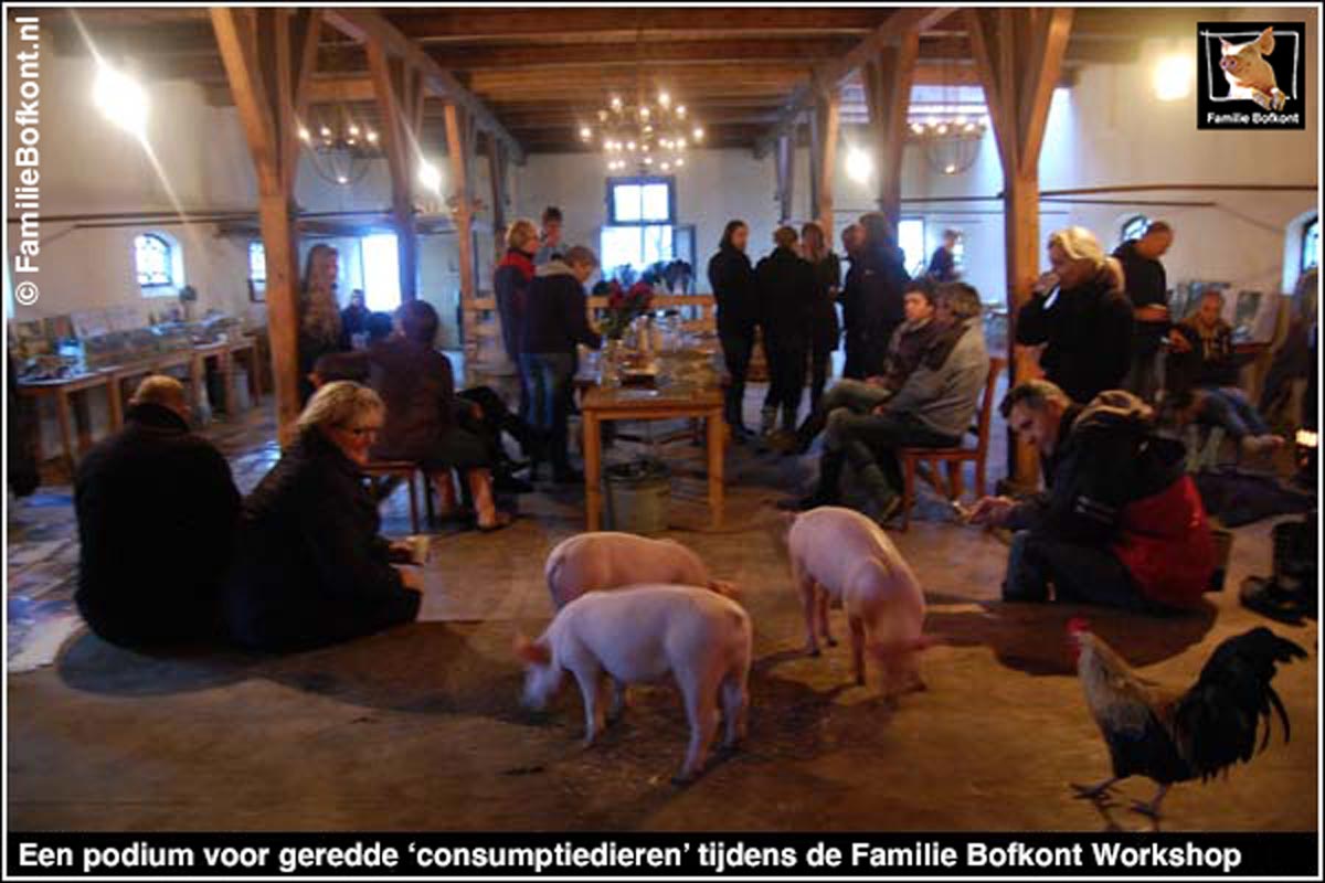 https://bfknt.nl/een-podium-voor-geredde-consumptiedieren-tijdens-de-familie-bofkont-workshop.jpg