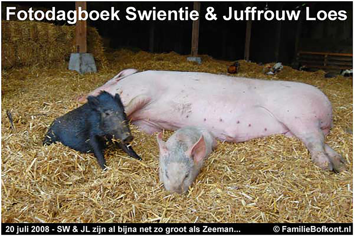 https://bfknt.nl/fotodagboek-juffrouw-loes-swientie-zeeman.jpg