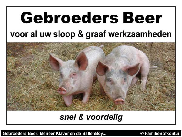 https://bfknt.nl/gebroeders-beer-voor-sloop-en-graafwerkzaamheden.jpg