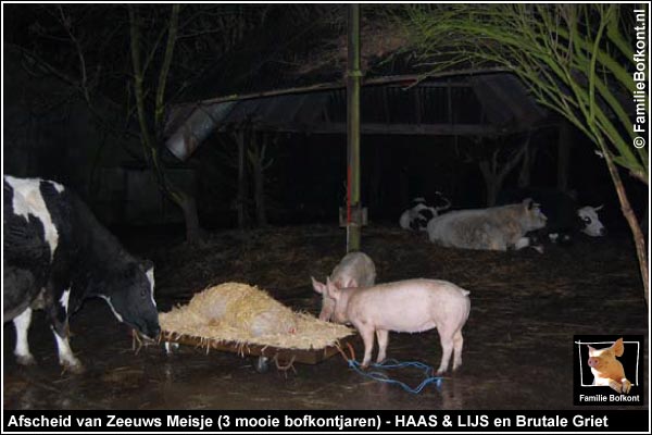 https://bfknt.nl/haas-lijs-meeleven-met-familie-bofkont.jpg