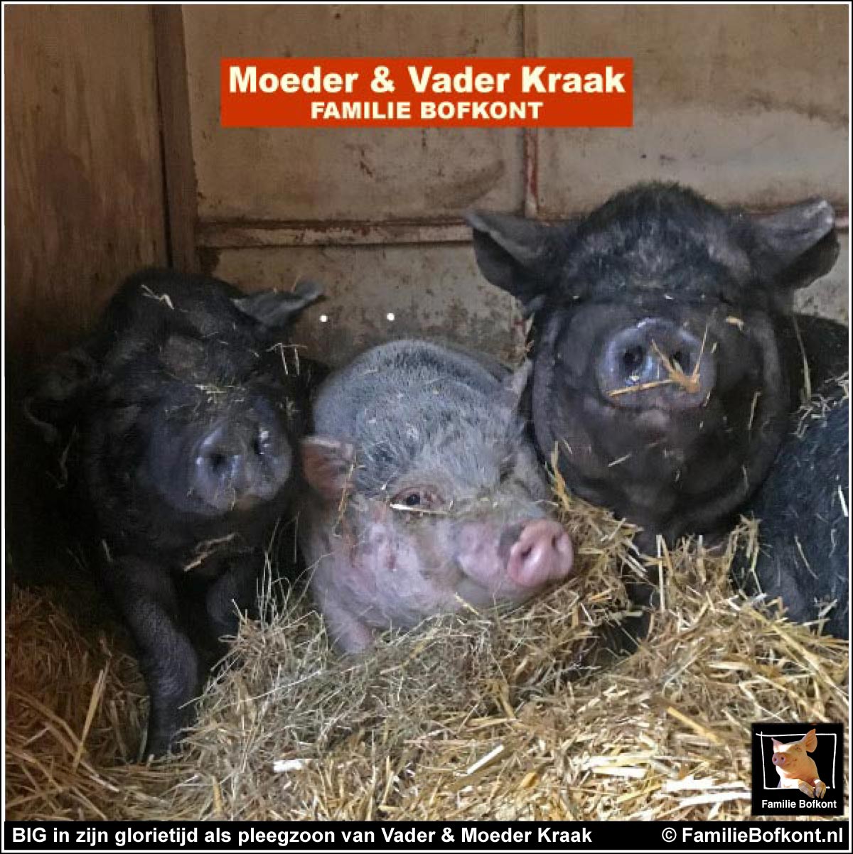 BIG in ijn glorietijd als pleegzoon van Vader & Moeder Kraak