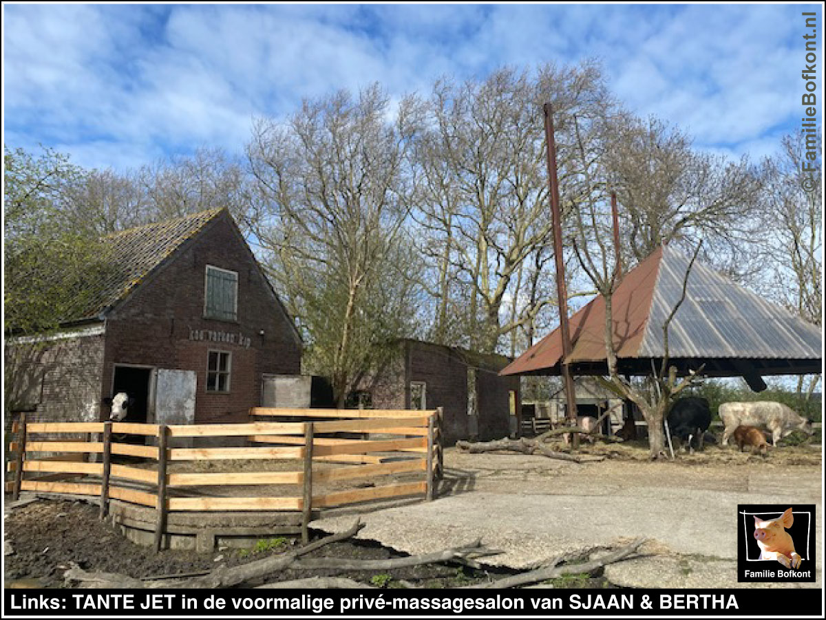 https://bfknt.nl/het-nieuwe-onderkomen-van-koe-tante-jet-familie-bofkont.jpg