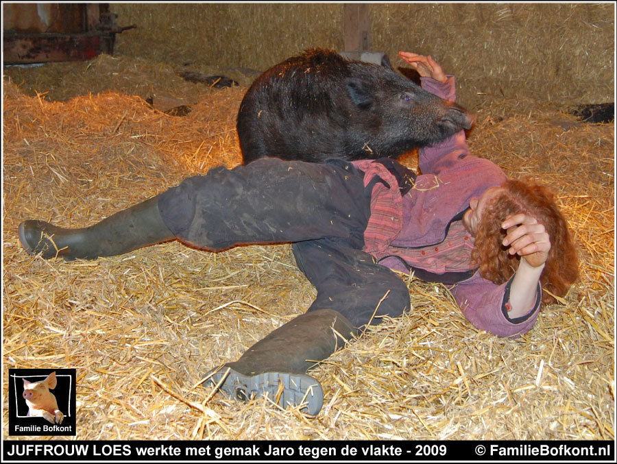 JUFFROUW LOES werkte met gemak Jaro tegen de vlakte - 2009