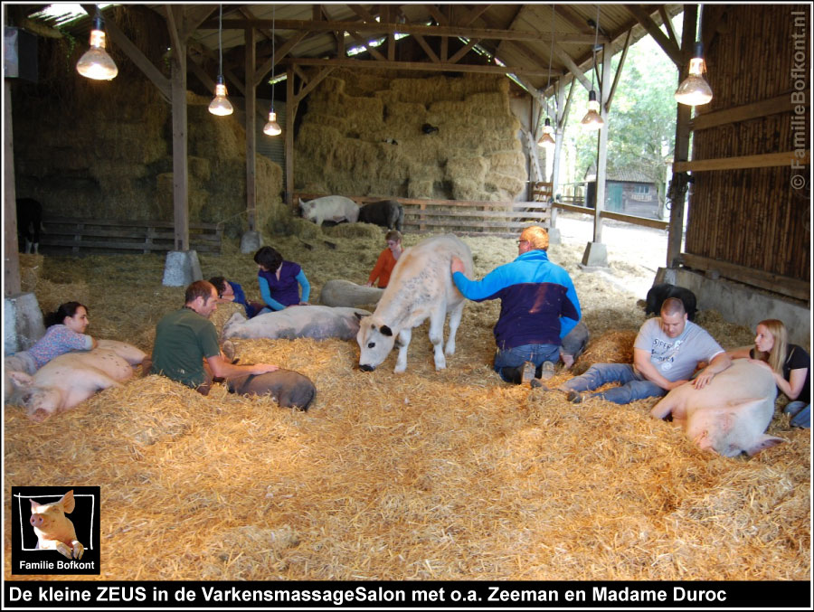 https://bfknt.nl/kleine-zeus-in-de-varkensmassagesalon.jpg