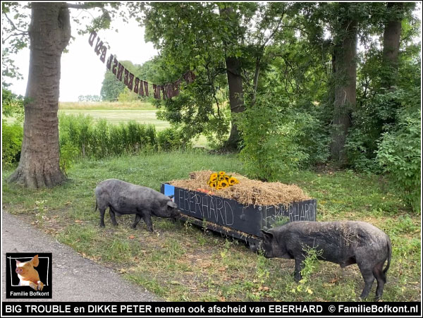  https://bfknt.nl/kraakvarkens-nemen-afscheid-van-eberhard.jpg