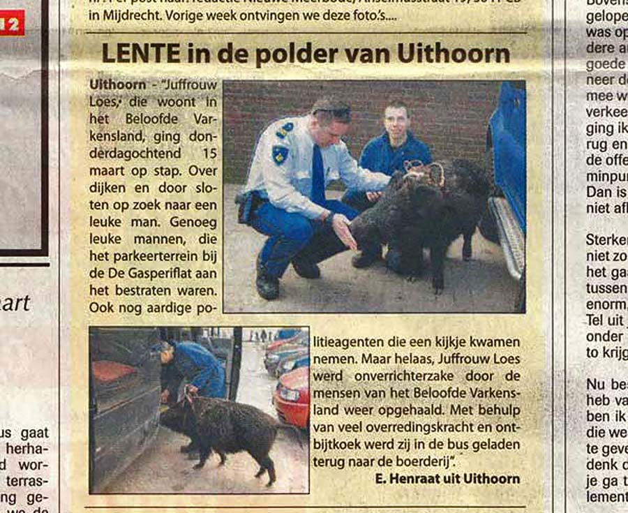 https://bfknt.nl/lente-in-de-polder-van-uithoorn.jpg