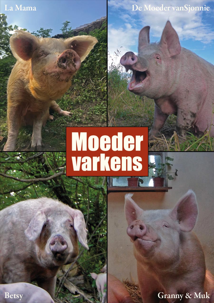 https://bfknt.nl/moedervarkens.jpg