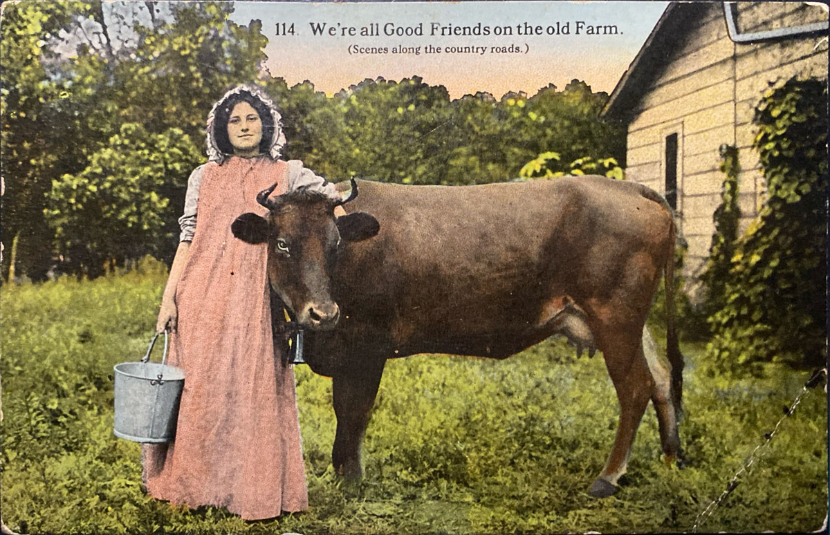 https://bfknt.nl/oude-ansichtkaart-vrouw-met-koe.jpg