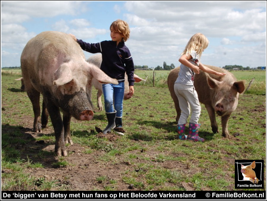 https://bfknt.nl/polderjongens-en-poldermeiden.jpg