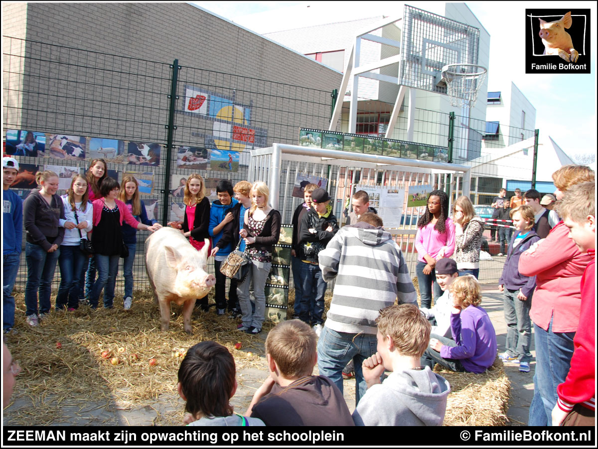 https://bfknt.nl/varken-zeeman-geeft-gastcollege-op-schoolplein.jpg