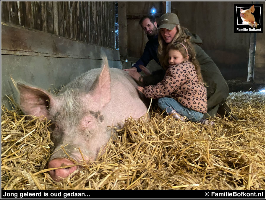 https://bfknt.nl/varkensmassage-jong-meisje-varken-leukerd-familie-bofkont-workshop.jpg