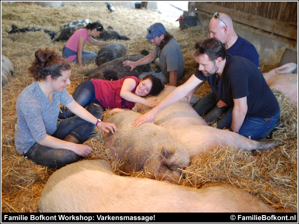 Varkensmassage tijdens Familie Bofkont Workshop