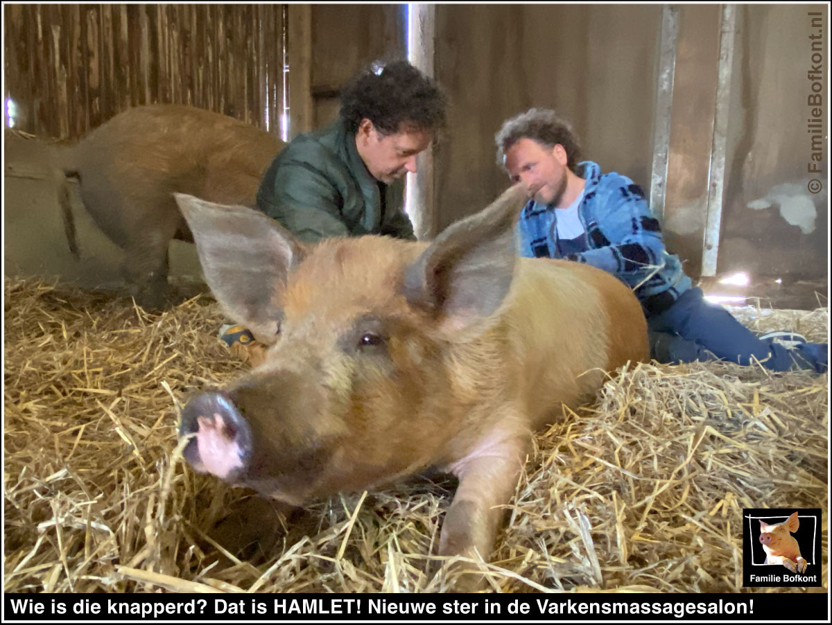 Wie is die knapperd? Dat is HAMLET! Nieuwe ster in de Varkensmassagesalon!