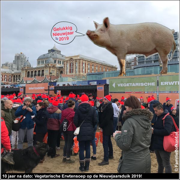 https://bfknt.nl/vegetarische-erwtensoep-op-nieuwjaarduik.jpg