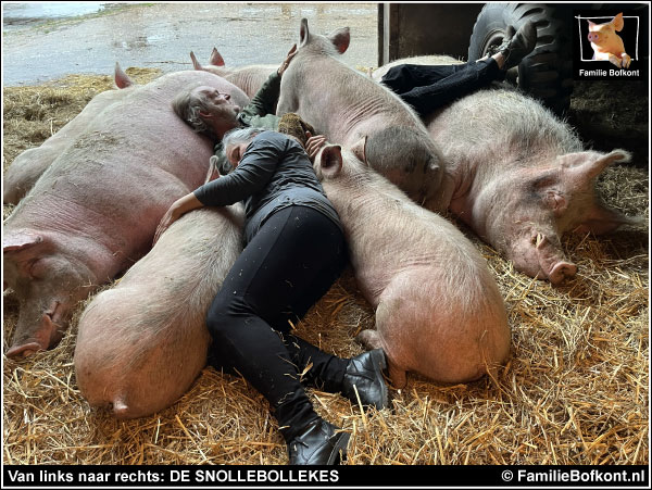 https://bfknt.nl/verslaafd-aan-varkens-5.jpg