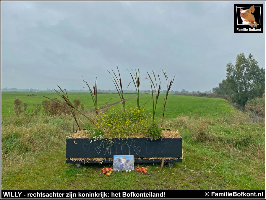 WILLY - rechtsachter zijn koninkrijk: het Bofkonteiland!