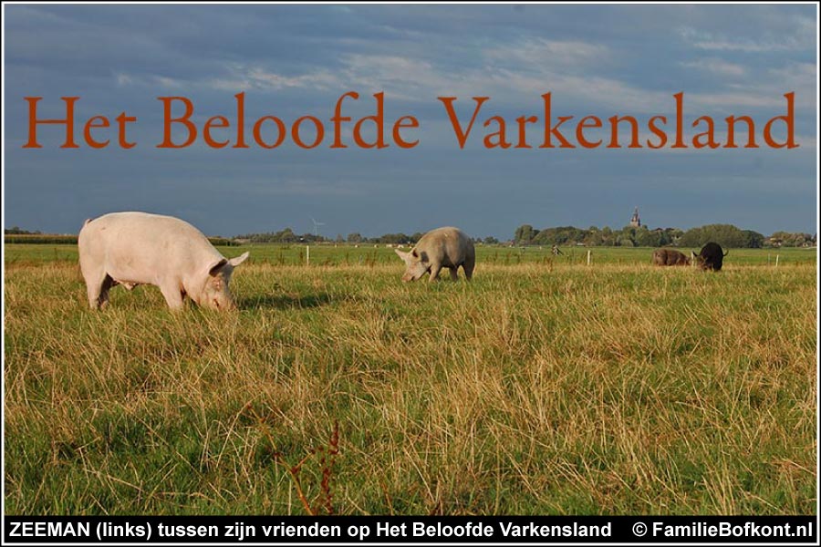 https://bfknt.nl/zeeman-tussen-zijn-vrienden-op-het-beloofde-varkensland.jpg